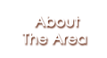 About The Area