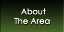About The Area